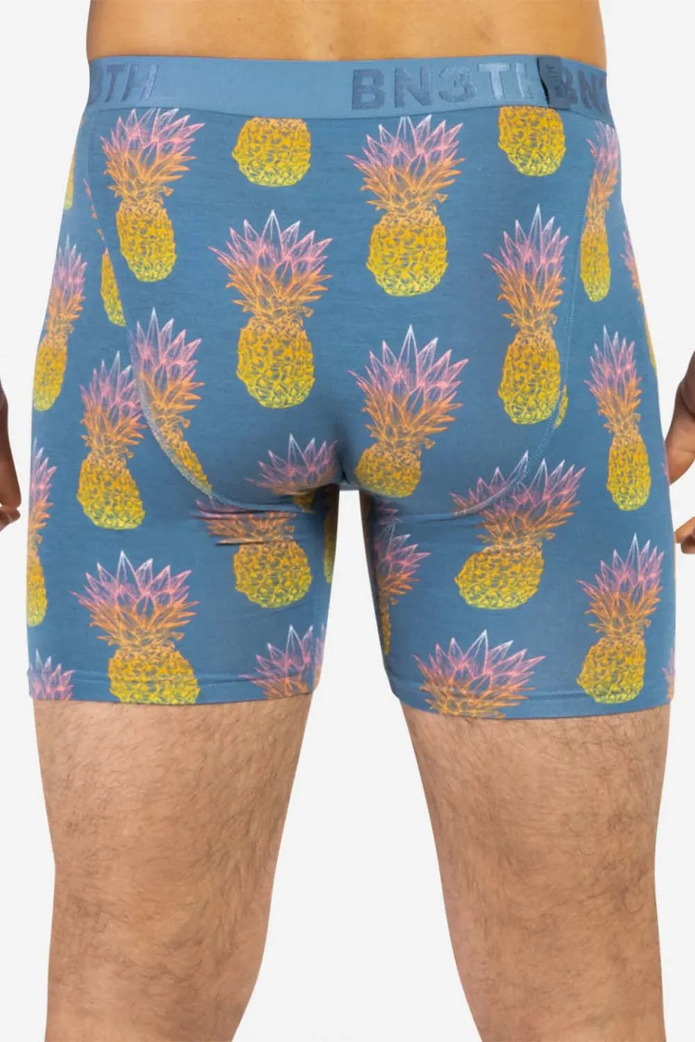 CLASSICS BOXER BRIEF Pineapple Fade Fog