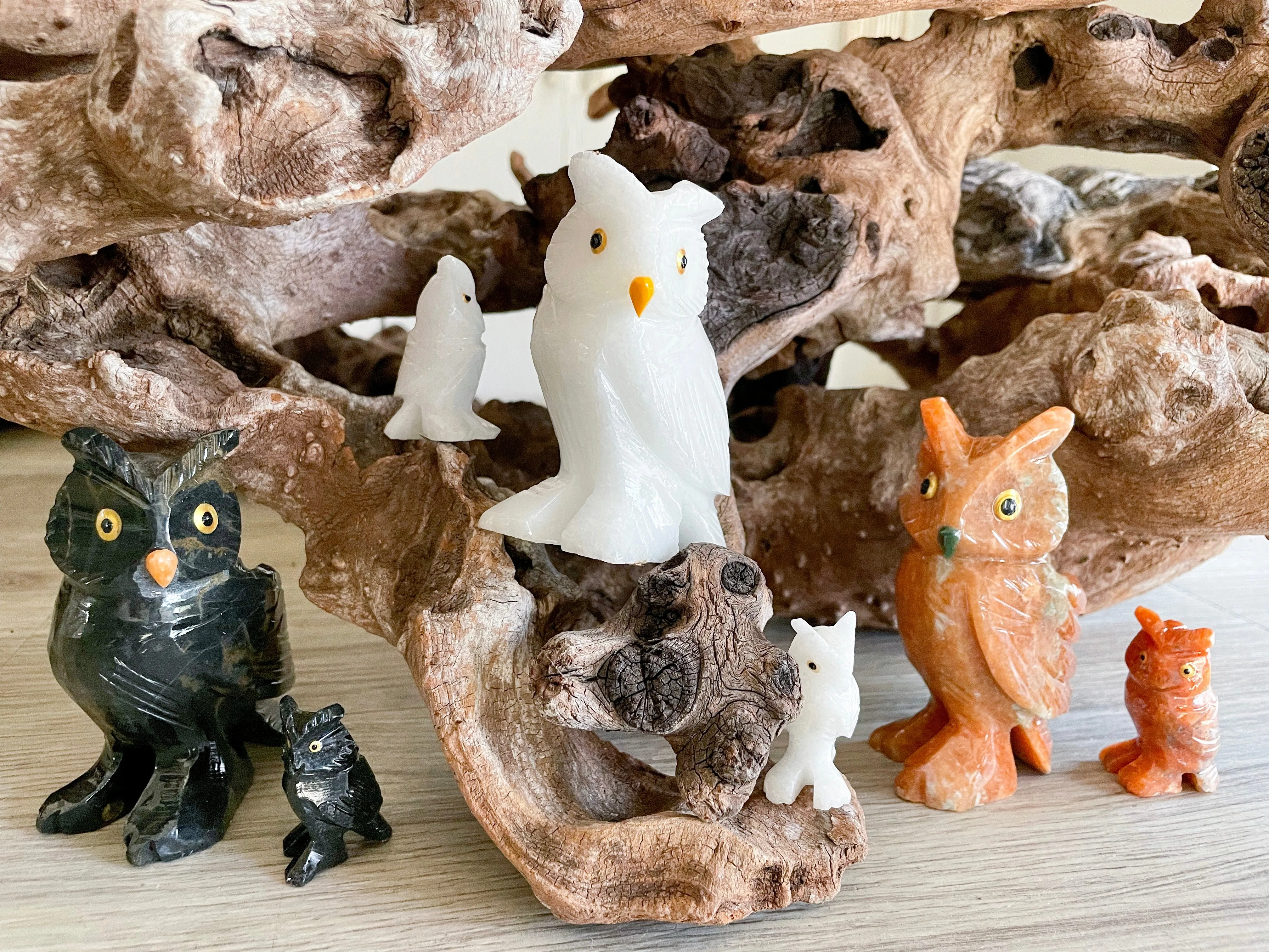 Owl Crystal Family