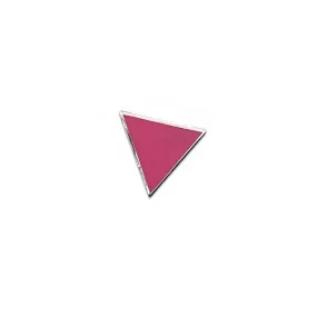 Pink Triangle Pin supporting the Ali Forney Center