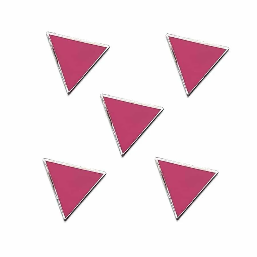 Pink Triangle Pin supporting the Ali Forney Center