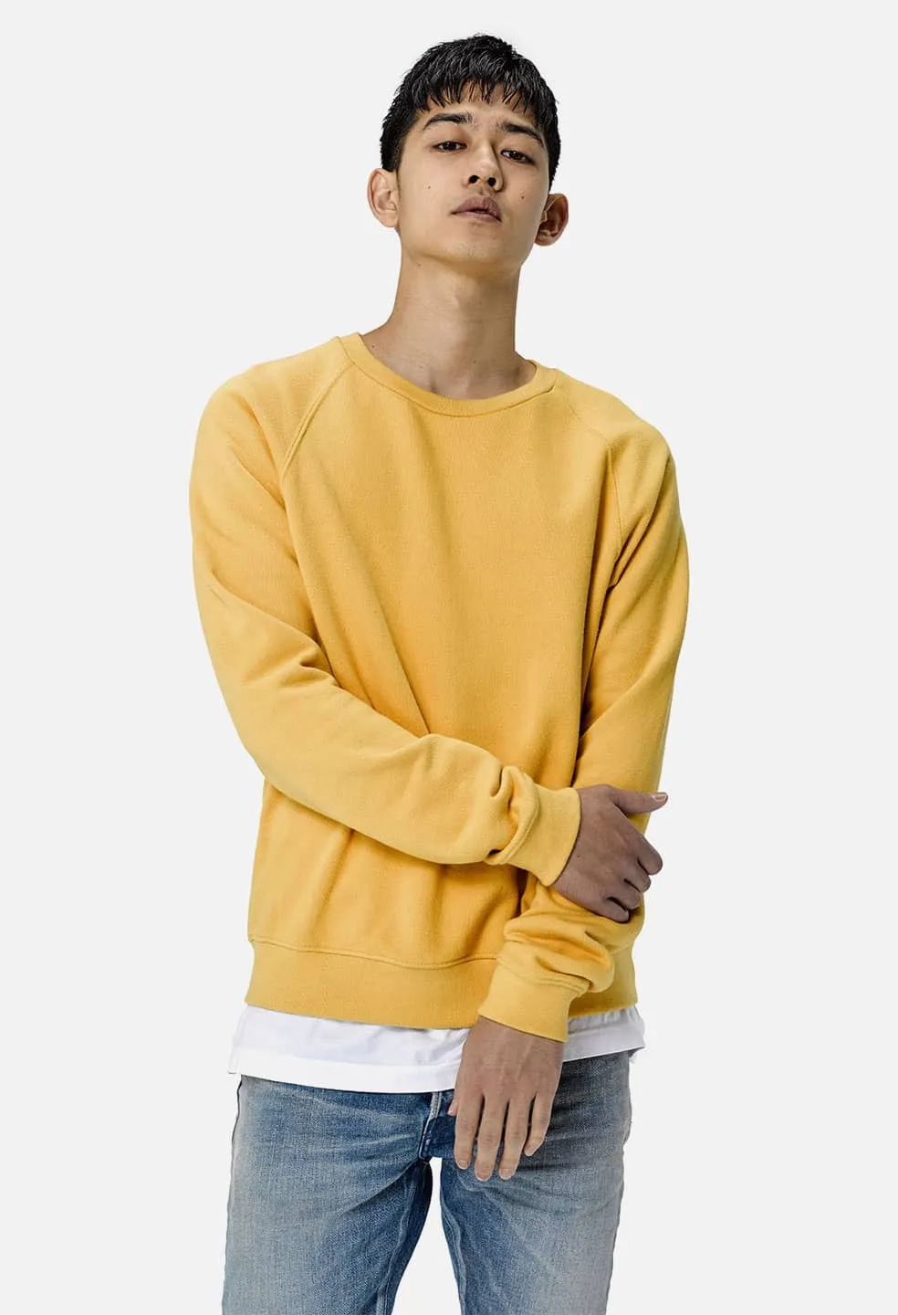 Raglan Crew / Mustard