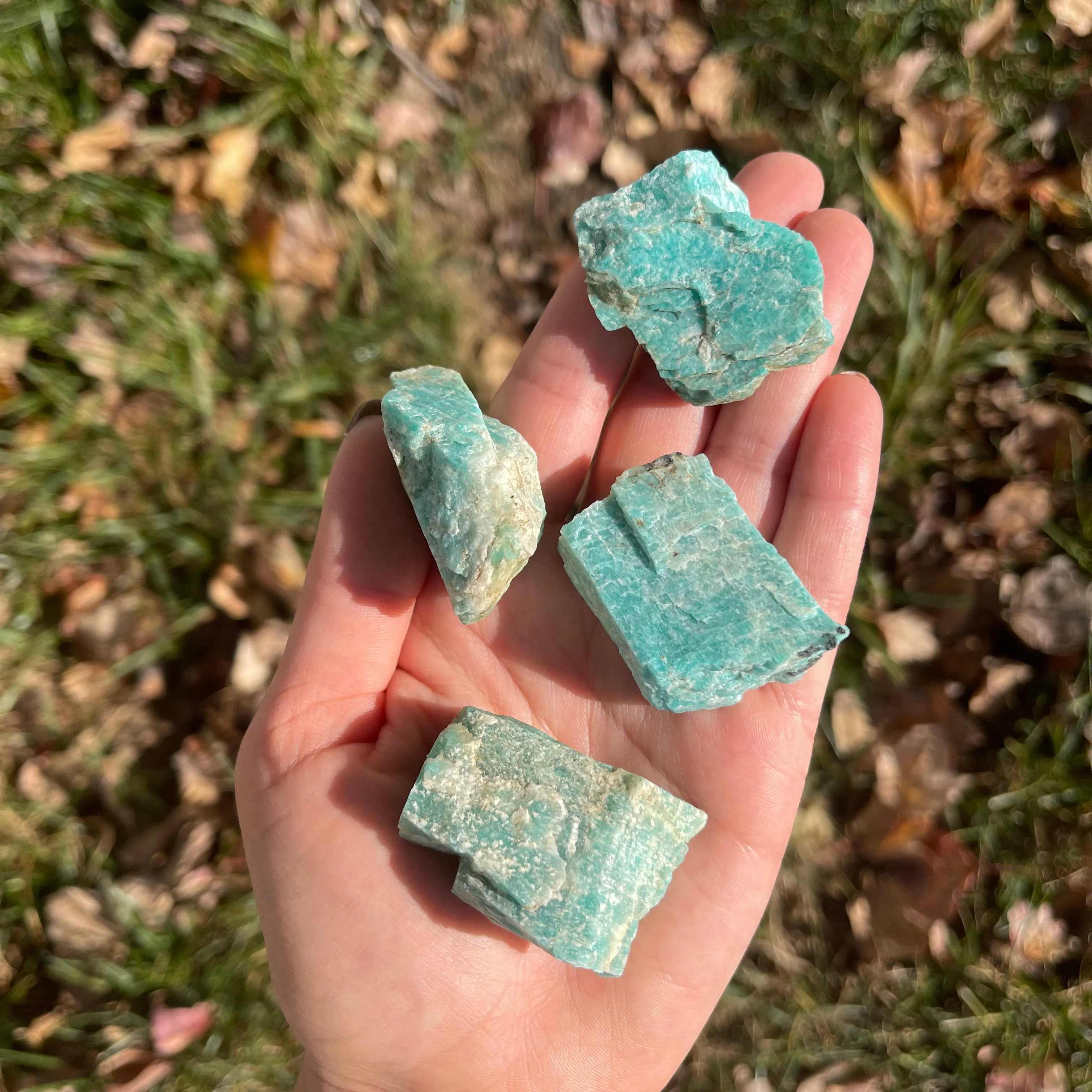 Raw Natural Amazonite Crystal [locally sourced]